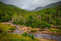 71. Gros Morne N.P.