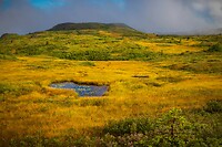 73. Gros Morne N.P.