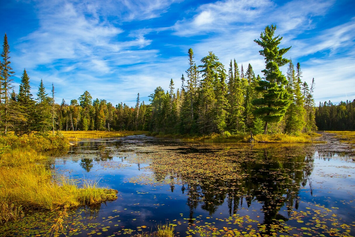 2. Algonquin