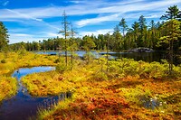 3. Algonquin