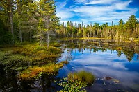 4. Algonquin