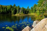 7. Hardy Lake