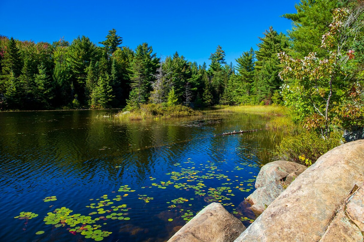 7. Hardy Lake
