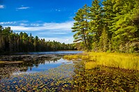 9. Algonquin