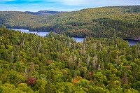 32. Parc National Mauricie