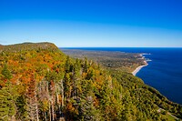 56. Foriilon N.P