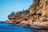 58. Parc Nacional l'Ile Bonaventura et du Rocher Percé