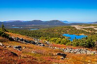 62. Parc National de la Gaspésie