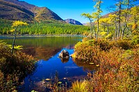 64. Parc National de la Gaspésie
