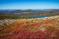 66. Parc National de la Gaspésie