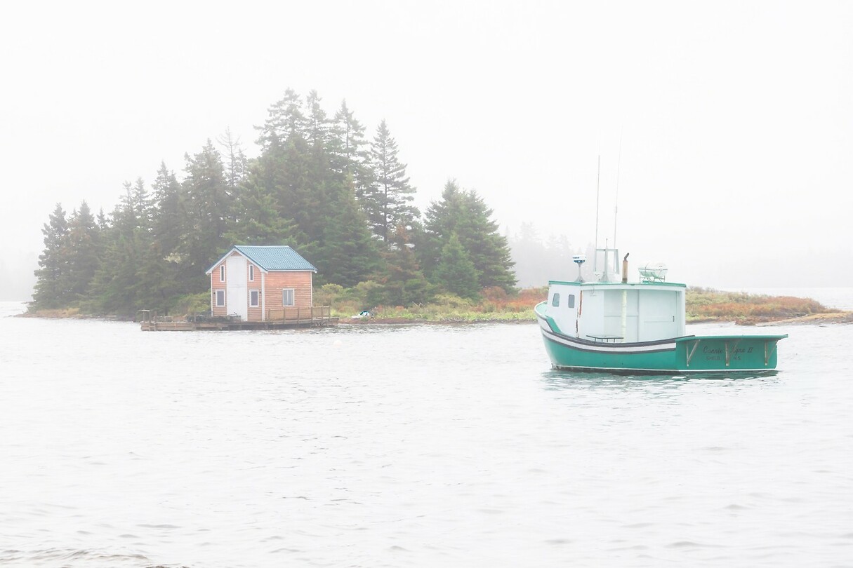 81. Blue Rocks in de mist