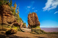 85. Hopewell Rocks