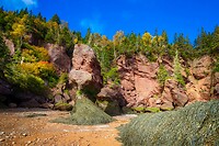 86. Hopewell Rocks