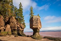 87. Hopewell Rocks