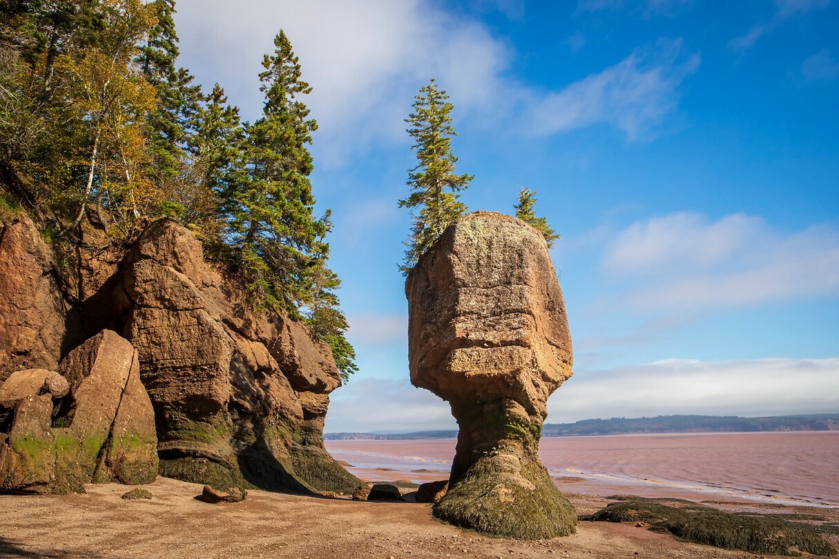 87. Hopewell Rocks