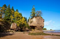 88. Hopewell Rocks