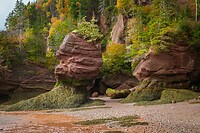 89. Hopewell Rocks