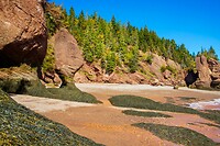 90. Hopewell Rocks