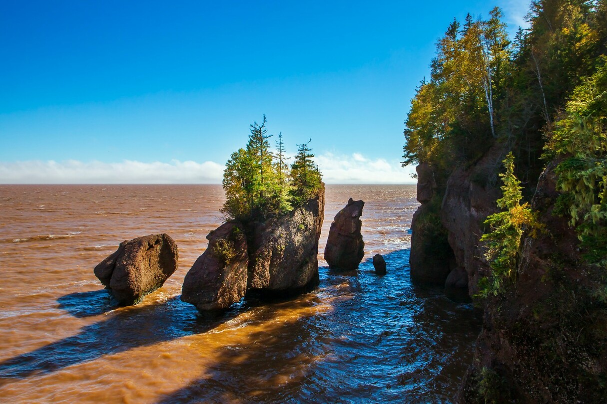 91. Hopewell Rocks bij hoogtij
