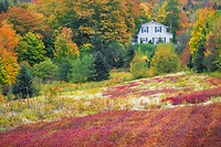 95. De herfst is in aantocht