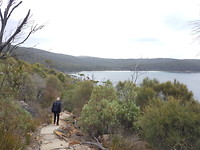 Cape Hauy trail - Tasman NP