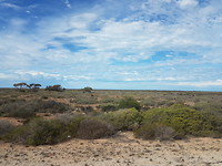 The Nullarbor Plain