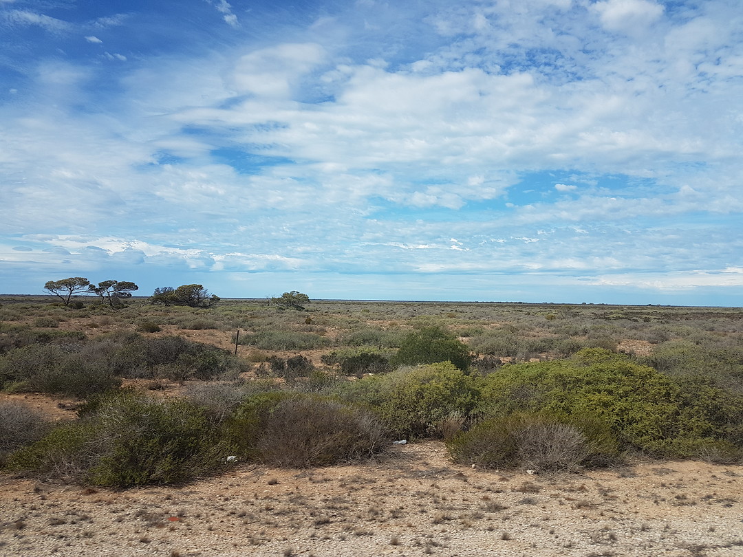 The Nullarbor Plain