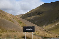 Lindis Pass