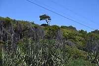 Bruce Bay