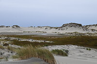 Duinen met vennetjes