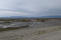 Droog gevallen wad