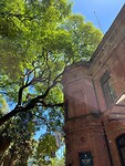 IMG-20250115-WA0004