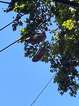 IMG_20250115_130042