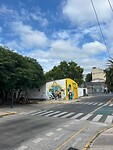 IMG-20250118-WA0014