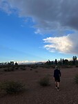 IMG-20250123-WA0029