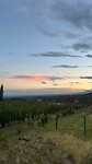 IMG-20250127-WA0017