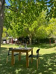IMG-20250129-WA0009