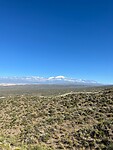 IMG-20250131-WA0023