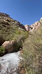 VID-20250131-WA0016