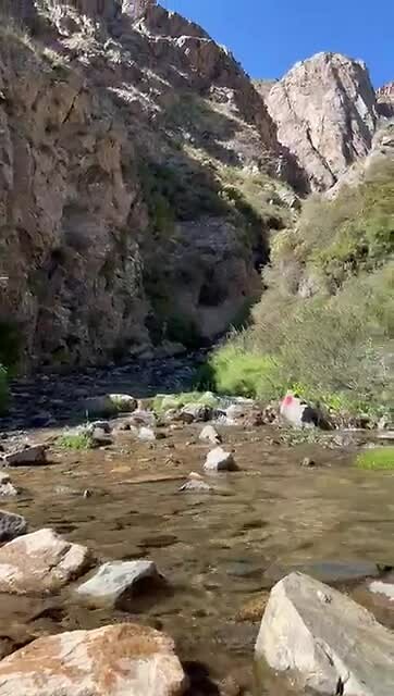 VID-20250131-WA0013