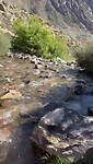VID-20250131-WA0024