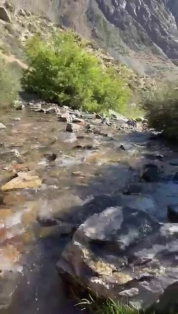 VID-20250131-WA0024