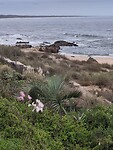 IMG_20250204_170248