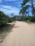 IMG_20250204_144509