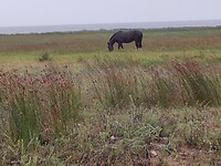 IMG_20250205_163912