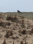 IMG_20250205_163436