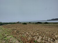 IMG_20250205_163422