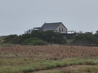 IMG_20250205_163128