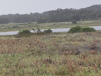 IMG_20250205_163042