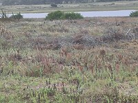 IMG_20250205_163038